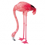 Flamingo 1