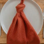 Terracota textured cotton napkin
